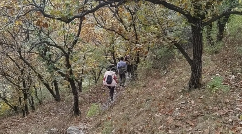 微信截圖_20241024195932.png 微信截圖_20241024195932.png